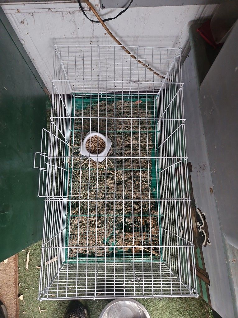 Rabbit Cage