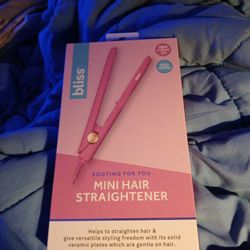 Mini Hair Straightener