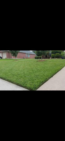 GARDENER/JARDINERO