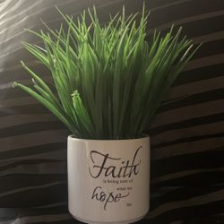fake plant 