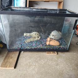 Fishtank W Stand