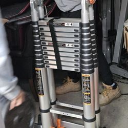 30 Foot Extendable Ladder 
