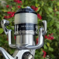 Shimano Saragosa Reel/New Lines/Star Rods 