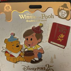 Disney pin- Winnie the Pooh