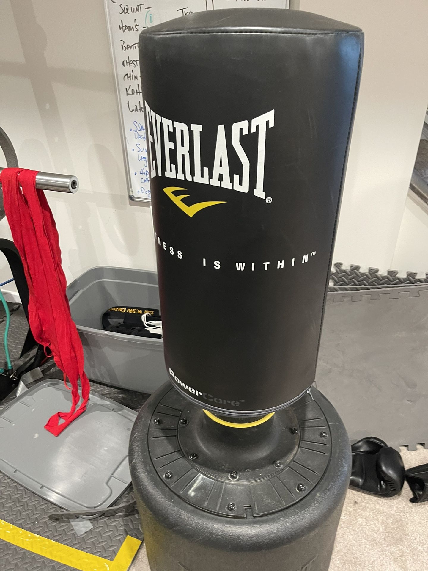 Everlast Stationary Punching Bag