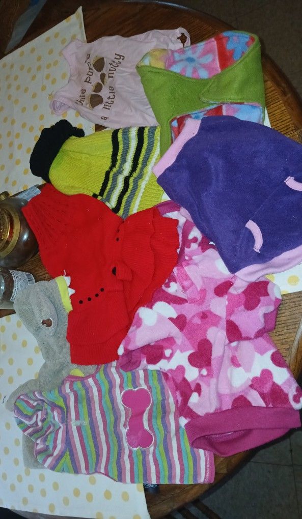 Small Female Dog Outfits