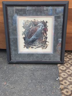 Paintings