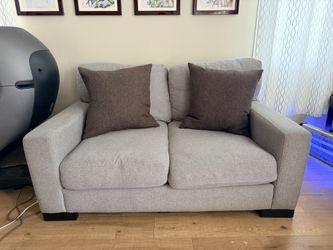 Living spaces sofa couch  with down cushion pillows