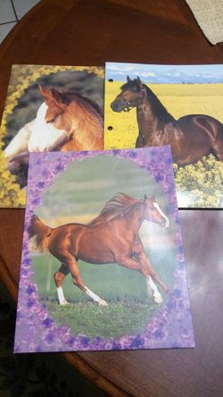 Horse folders
