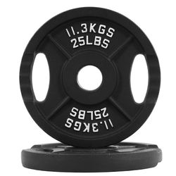 Upper of 25 pounds metal plates