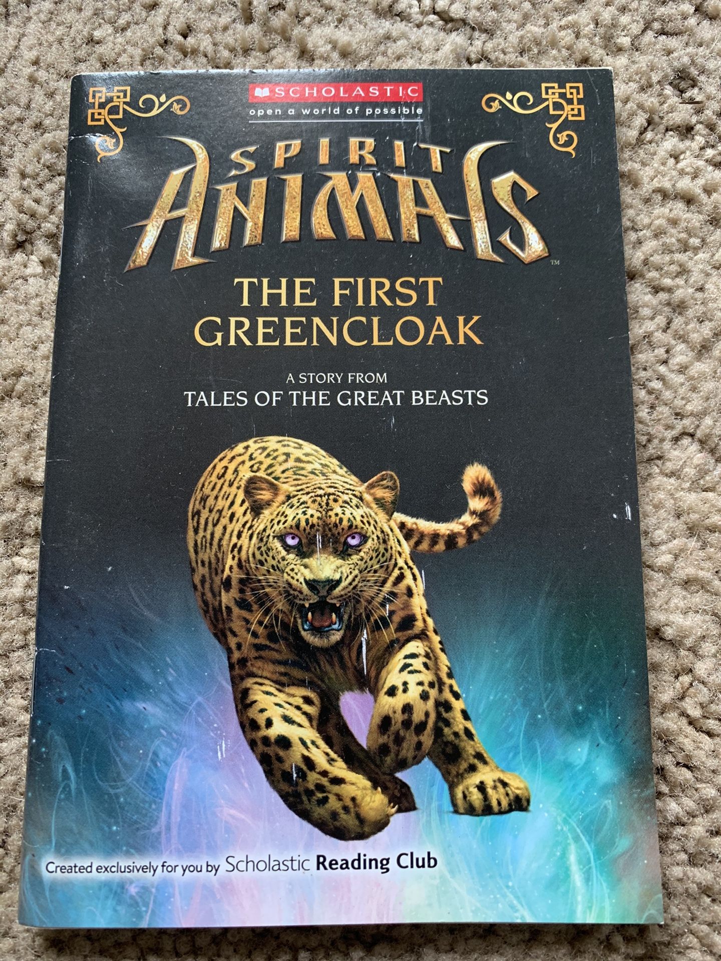 Spirit Animals The First Green cloak