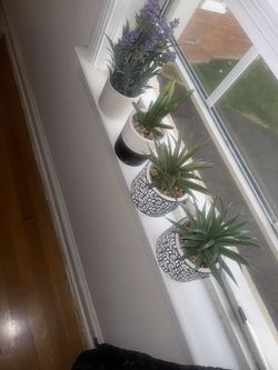 Imitation Plants