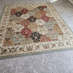 Area Rug - 8 ft x 10 ft