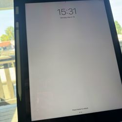 iPad Pro 12.9 Inch (2nd Generation)