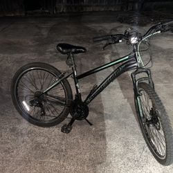 Schwinn Hybrid Bicycle 