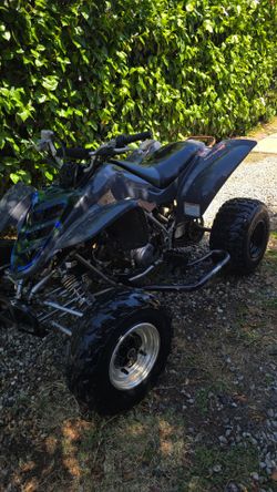 2005 raptor 660