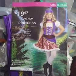Gypsy Princess Costume 
