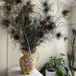 Beacoock Feathers Each 1$ 