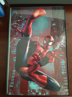 Spider-Man Poster In Glass Picture Frame