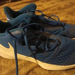 Brand New Blue Nike Shoes