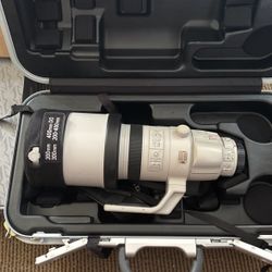 Canon 200-400mm