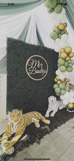 Greenery Wall For sale 