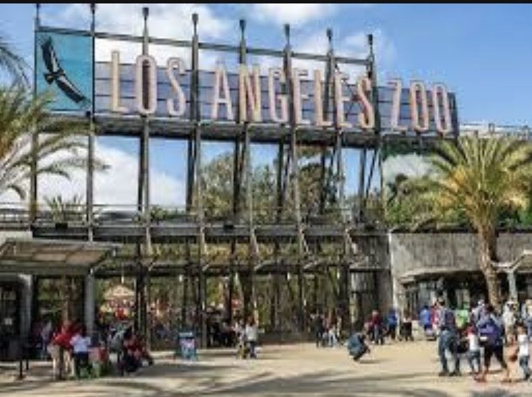 Los Angeles Zoo Tickets Day Time Only