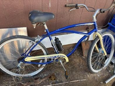Raleigh Beach Cruiser