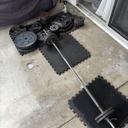 Standard Work Out Plates & Barbell