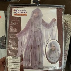 Haunted Beauty Costume!