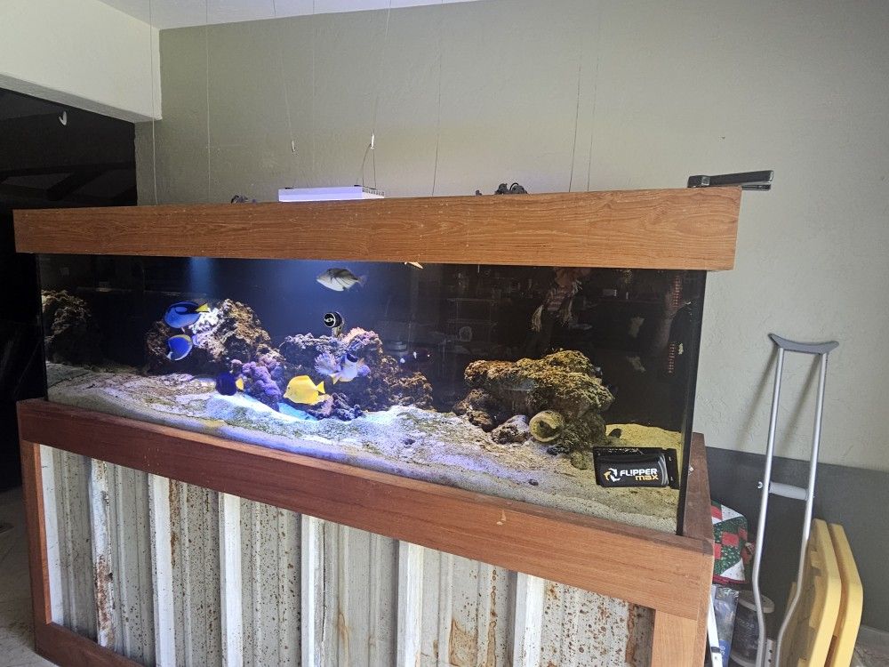 300 Gallon Fish Tank
