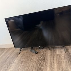 42” LG TV with Swivel Mount