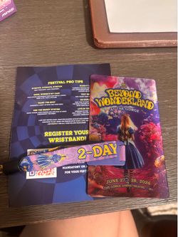 1 Beyond wonderland ticket to gorge