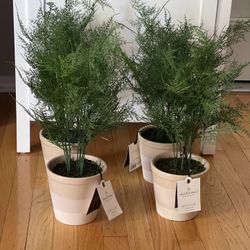 18.5" x 22" Faux Fern Potted Plant - Hearth & Hand™ with Magnolia