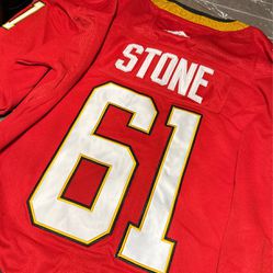 Golden Knights Red Jersey Stone 61