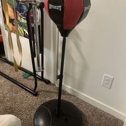 Punching Bag