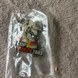 Cast Exclusive Mighty Ducks Wild Wing Cup Crazy 2003 Bobble Disney Pin