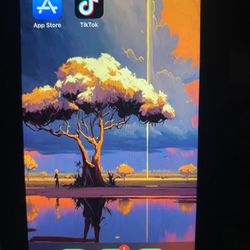 IPhone 8 ( With TikTok)