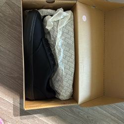 New Vans Shoes 
