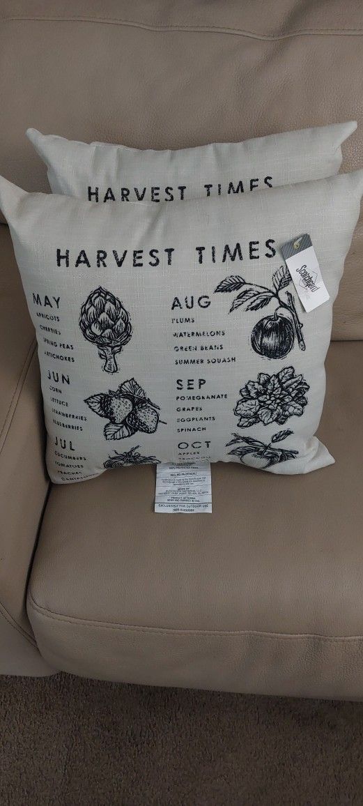 2 Matching Decorative Pillows