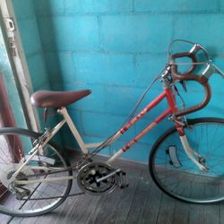 Ten speed bike best sale tires