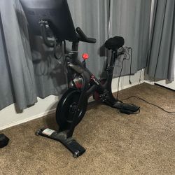 Peloton