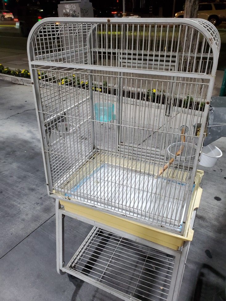 Cage Parrot 75