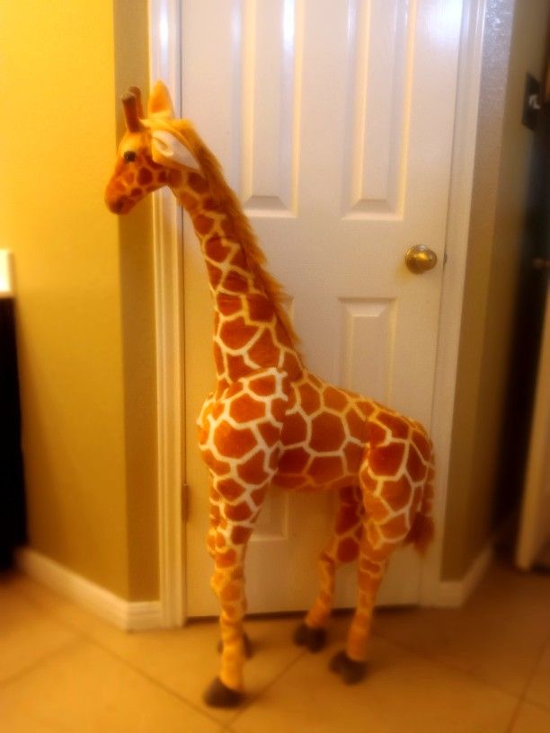 Jani The Savannah Giraffe 