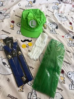 Costume Luigi