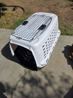 Dog Kennel