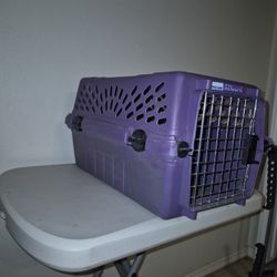 Pet Carrier 