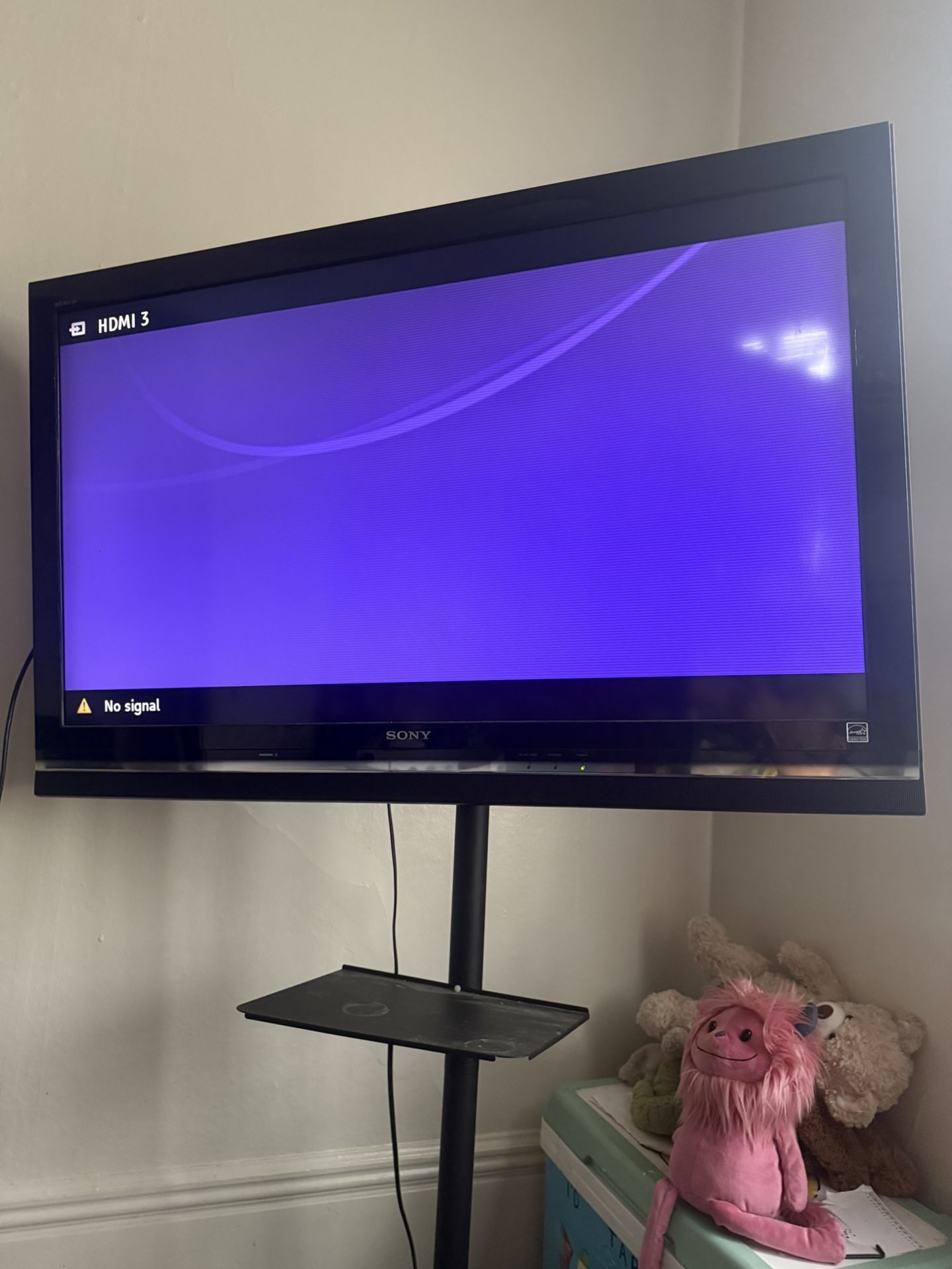 50” TV with Rolling Stand 