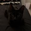 Andy