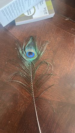 Trade one of trading peacock feather to peddle kayak